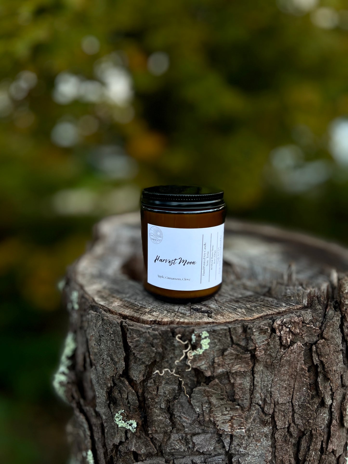 Harvest Moon Scented Candle - 8 oz Soy Candle - Hand-Poured, Fall Candle, Cozy Autumn Scent