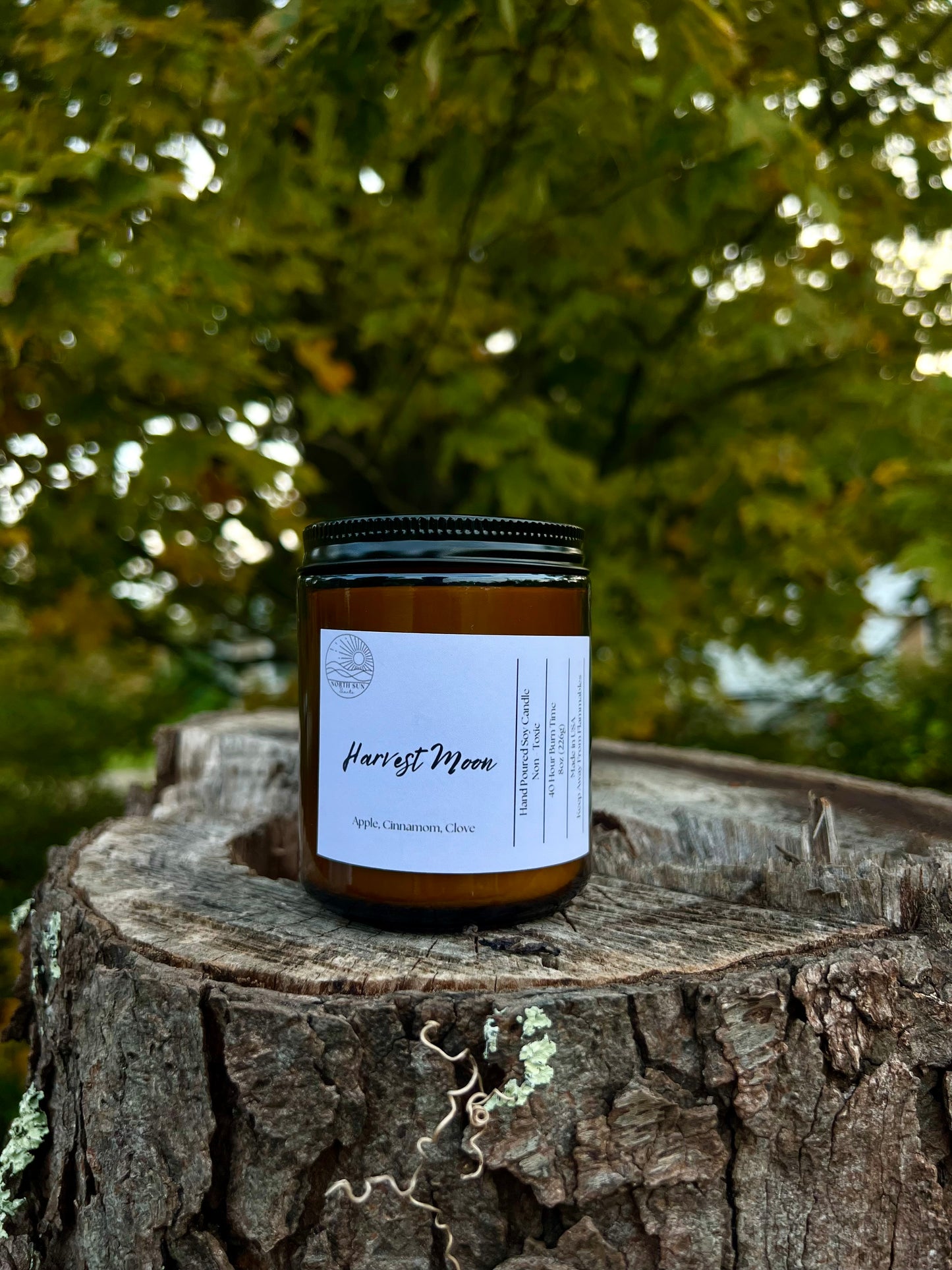 Harvest Moon Scented Candle - 8 oz Soy Candle - Hand-Poured, Fall Candle, Cozy Autumn Scent